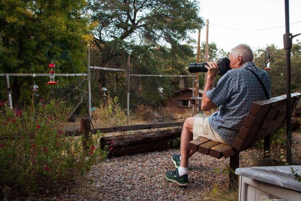 A bird watcher photographing birds in the wildlife viewing area